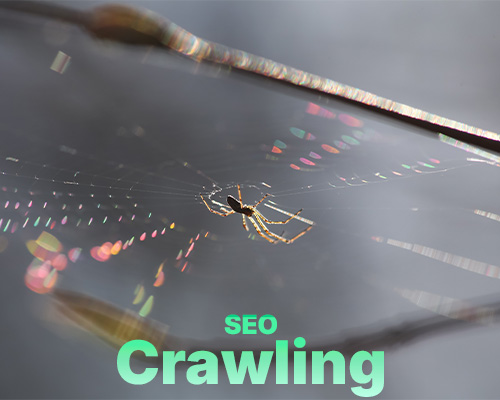 SEO crawling concept showing a spider web representing search engine bots discovering and scanning websites